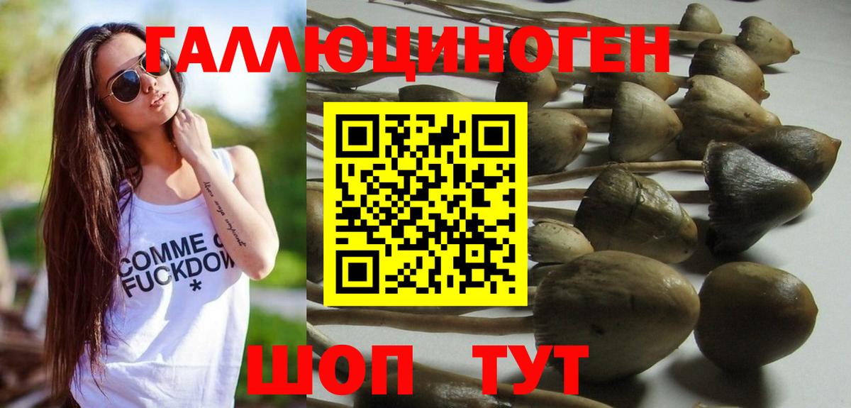 Псилоцибиновые грибы Magic Shrooms  Псилоцибиновые грибы Cubensis  Вход с VPN  Уссурийск 